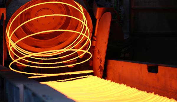 Steel wire rod