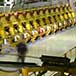 Steel cord and wire production